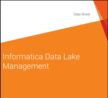 Informatica Data Lake Management | Datasheet