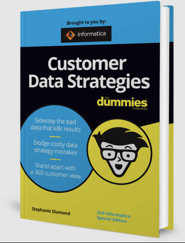 Customer Data Strategies for Dummies